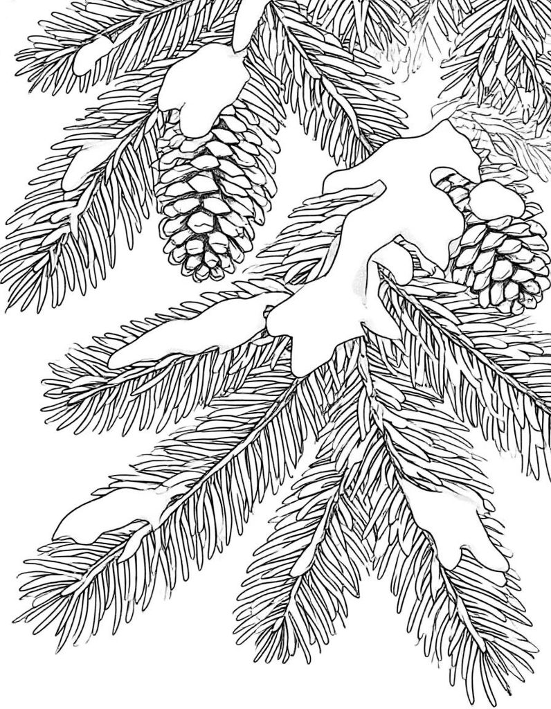 Раскраски «Зимняя природа»: ваш билет в тихую сказку за окном ❄️🌲